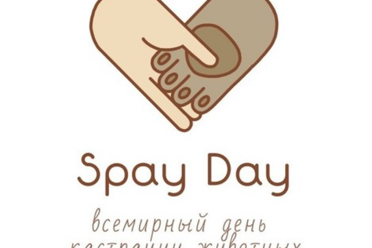 Всемирный день кастрации и стерилизации домашних животных «Spay Day»