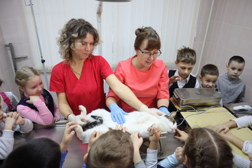 В гости к Айболитам: Уроки доброты и экскурсии для детей на ветеринарной станции