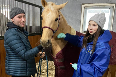 Свыше 4 тысяч лошадей провакцинировали от лептоспироза в 2022 году