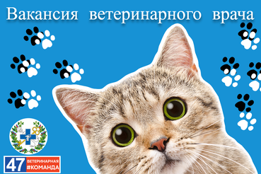 Вакансия: Приглашаем на работу ветеринарных врачей!