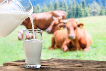 О молочной отрасли региона