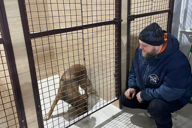 Первых гостей принял Центр временного содержания животных без владельцев в Волосово