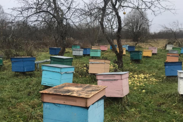 Учебный видеоролик для пчеловодов