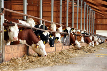 «Кормление и генетика – основа продуктивности молочного животноводства»