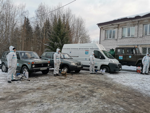 В новогодние праздники ветеринары Ленинградской области вышли в рейды