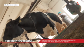 Ветеринар из Выборгского района Виталий Кузевич рассказал о работе с животными