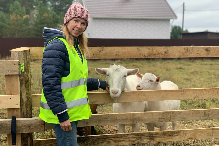 В Волосовском районе отменили карантин по оспе овец и коз