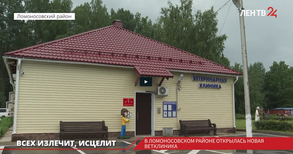 В Ломоносовском районе открылась новая ветклиника