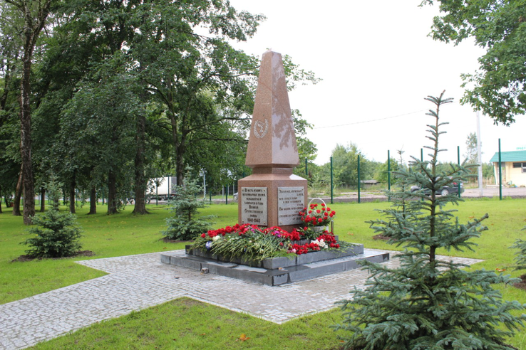 Памятник военным ветеринарным специалистам подсветят