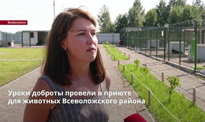 Ветврач и кинолог провели урок доброты для детей в приюте для животных Всеволожского района