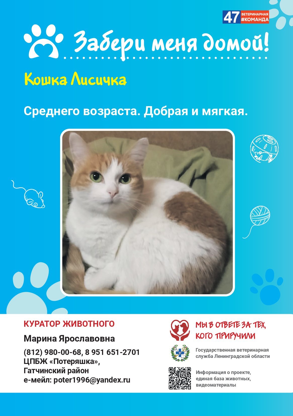 Архивы Кошки: полезная информация о домашних животных